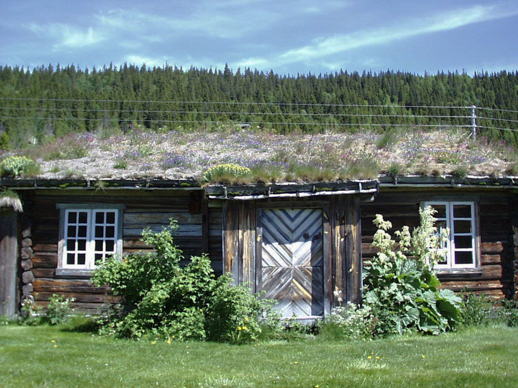 et gammelt hus med torv på taket og busker rundt dørene