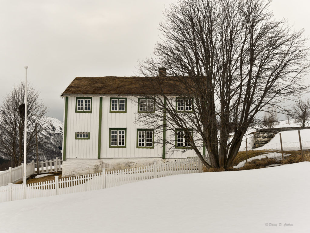Bjørgan gård - et hvitt hus med et stort tre foran, tatt på vinteren